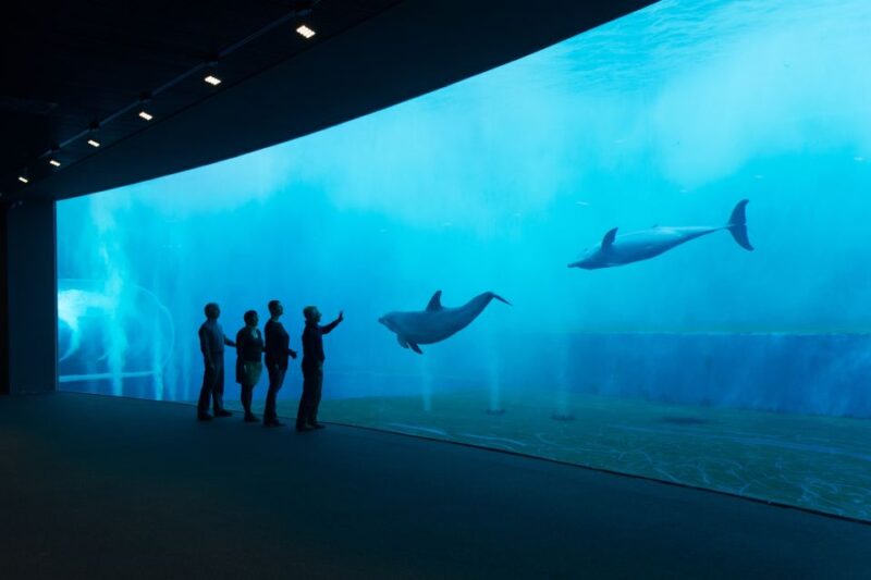Aquarium of Genoa Ticket and Whale Watching Cruise - Ticketing and Pricing