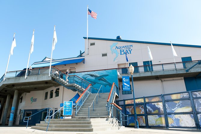 Aquarium of the Bay General Admission Ticket - Visitor Reviews Summary