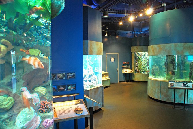 Aquarium of the Bay General Admission Ticket - Practical Information