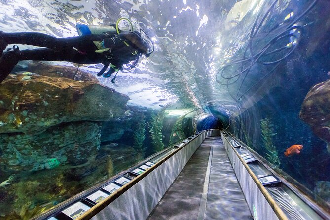 Aquarium of the Bay VIP Experience - Tour Details