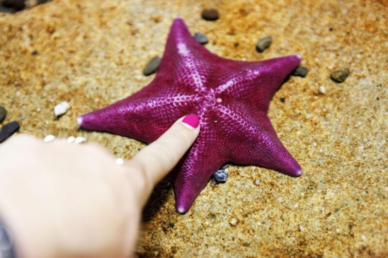 Aquarium of the Bay VIP Tour - Important Information