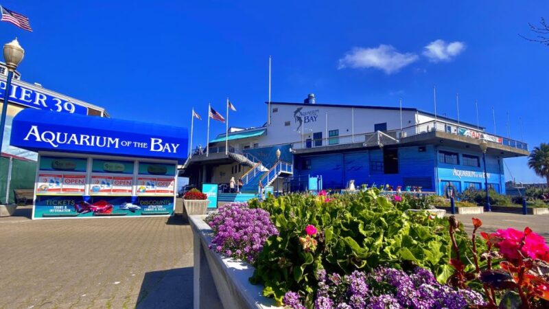 Aquarium of the Bay VIP Tour - Customer Feedback