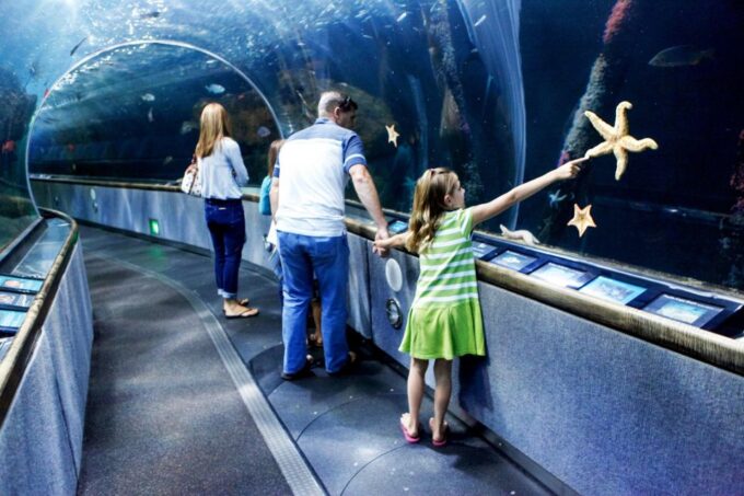 Aquarium of the Bay VIP Tour - What to Expect