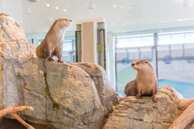Aquarium of the Bay VIP Tour - Know Before You Go