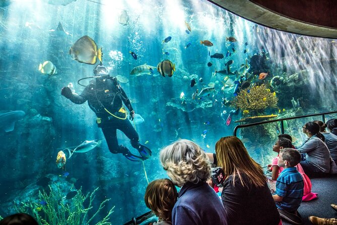 Aquarium of the Pacific + Shoreline Village Transfer With Tickets - Terms and Conditions