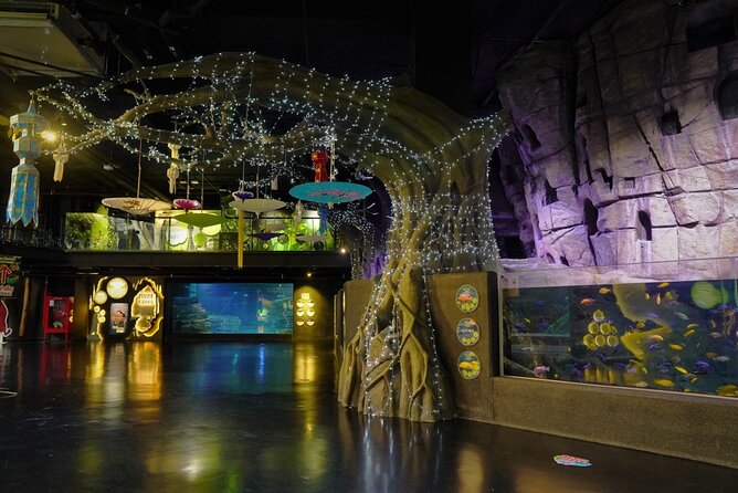 Aquarium Phuket and AR Trick Eye Museum Combo Tickets - Operational Hours