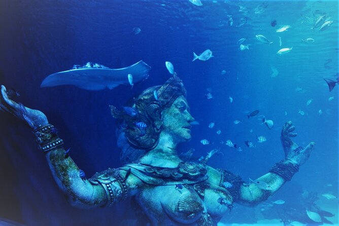 Aquarium Phuket and AR Trick Eye Museum Combo Tickets - Booking and Cancellation Policy