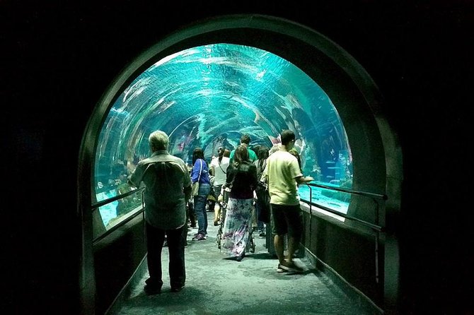 Aquarium Tour - Rio De Janeiro - Pricing and Booking