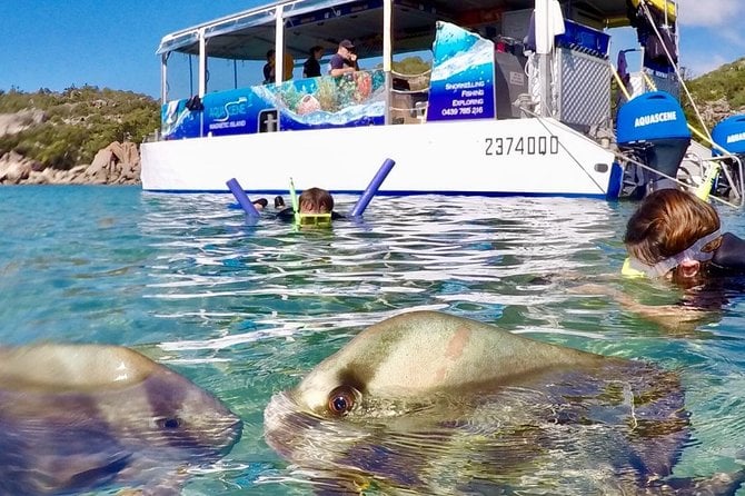 Aquascene Magnetic Island Discovery Tour - Guest Reviews