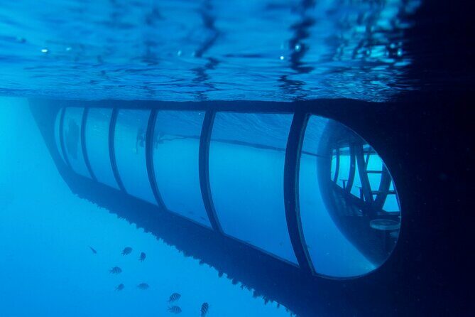 Aquaspace Morning Sail and Snorkel Tour on Bonaire with Lunch - Who Should Book This Tour?