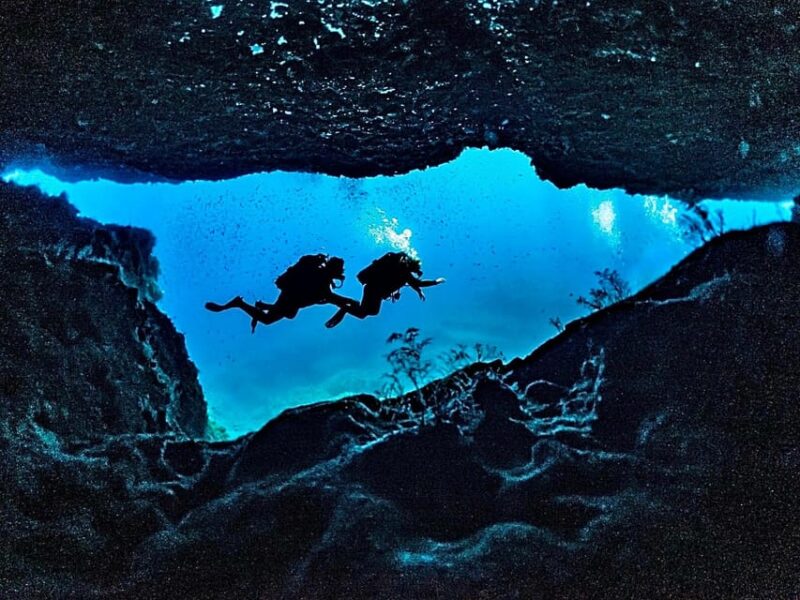 Aquatic Day Escape - Trips in Gozo, Comino & Malta - Key Points