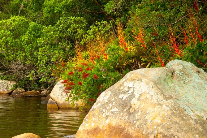 Aquatic Trail Lagoon and Red River by Adrenailha - Recommendations and Cautions
