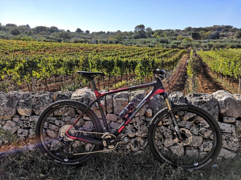 Aqueduct Cycle Path With Wine Tasting in the Winery - Key Points