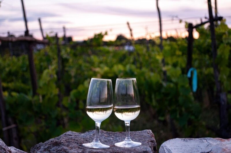 Aqueduct Cycle Path With Wine Tasting in the Winery - Scenic Highlights