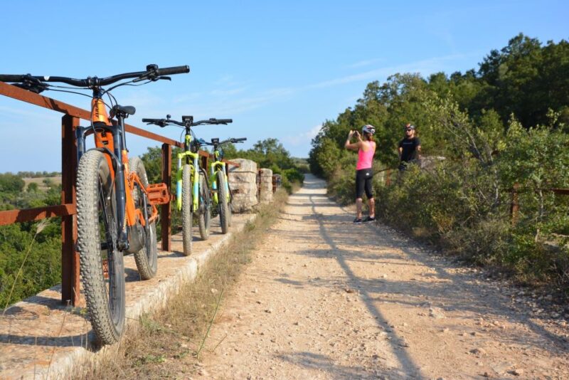 Aqueduct Cycle Path With Wine Tasting in the Winery - Duration and Pricing