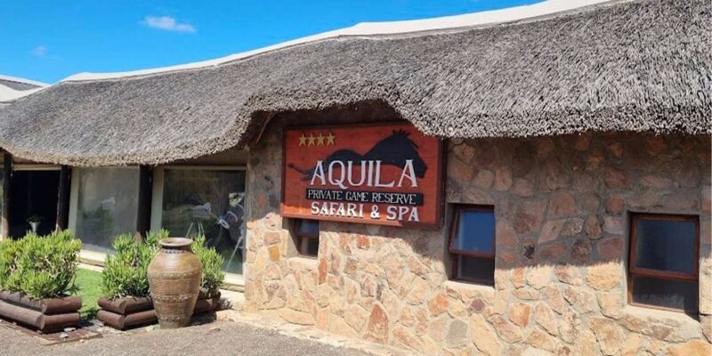 Aquila Reserve Safari With Lunch & Wine Tasting - Itinerary Highlights
