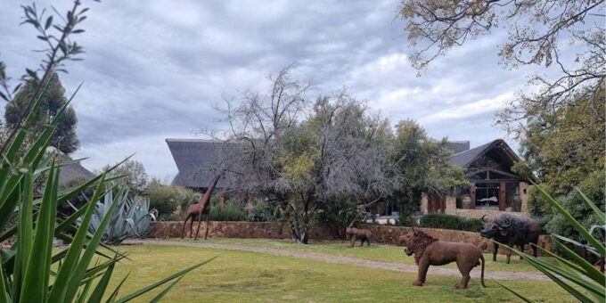 Aquila Reserve Safari With Lunch & Wine Tasting - Wine and Cheese Tasting