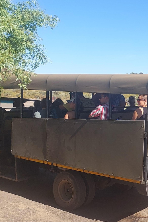 Aquila Safari, Entry Tickets & Transport From Cape Town Incl - Key Points