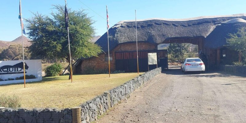 Aquila Safari, Entry Tickets & Transport From Cape Town Incl - Whats Included