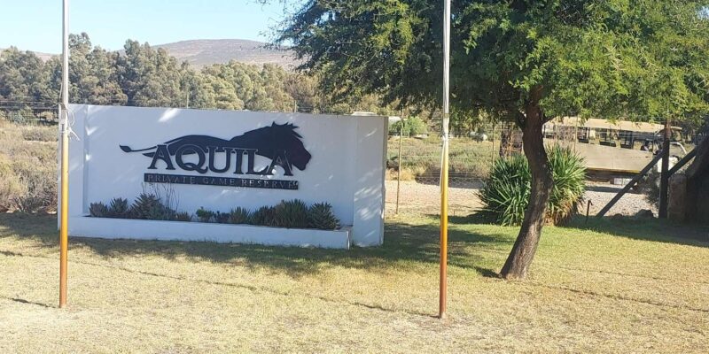 Aquila Safari, Entry Tickets & Transport From Cape Town Incl - Cancellation Policy