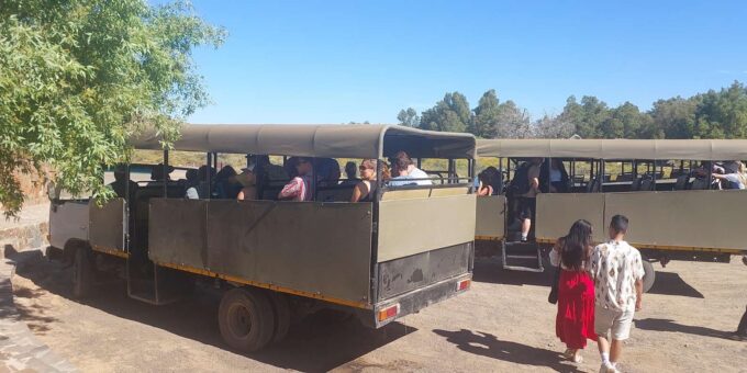 Aquila Safari, Entry Tickets & Transport From Cape Town Incl - Frequently Asked Questions