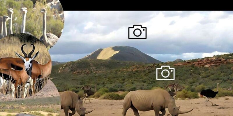 Aquila Safari Game Reserve Sunset Tour - Game Drive and Guided Tour