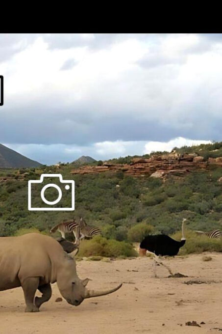 Aquila Safari Game Reserve Sunset Tour - Frequently Asked Questions