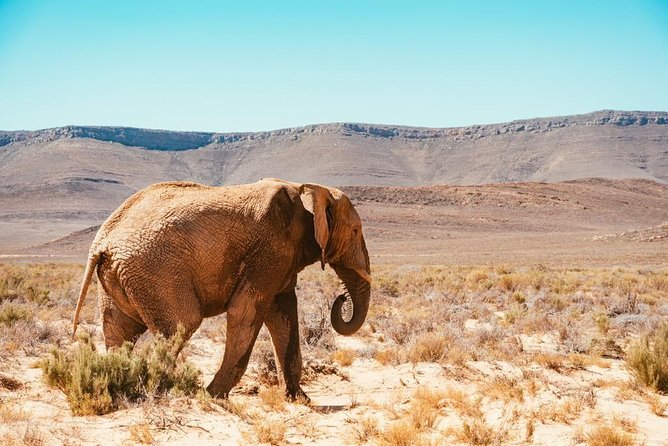 Aquilla BIG5 Private Safari Cape Town - Inclusions