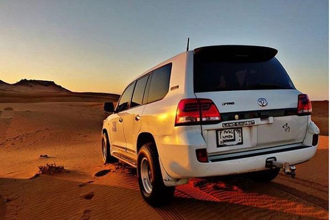 Arabian Desert Experience In Dubai - Booking Your Adventure