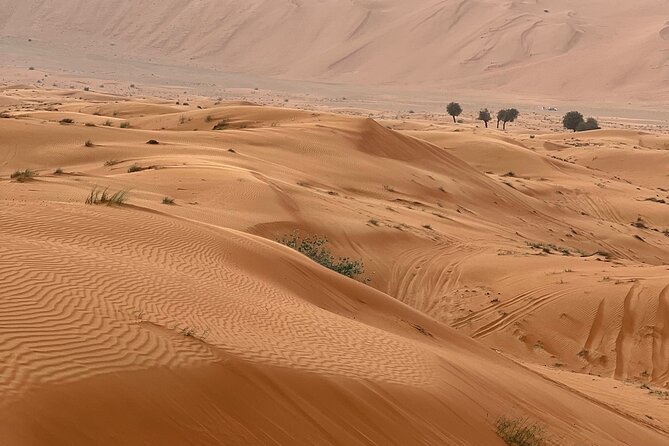 Arabian Dune Buggy Adventure - Booking and Reservation