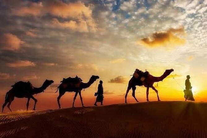 Arabian Night With Cultural Show - Inclusions and Exclusions