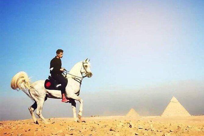 Arabian Nights Sunset Sahara Pyramids Arab Horse or Camel Ride With Bedouin Tea - Customer Reviews and Experiences
