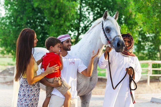 Arabian Sunset Horse Riding & Stable Tour - Tour Highlights