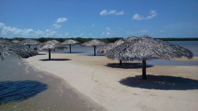 Aracaju: Tour To Croa Goré And Namorados Island - Scenic Delights