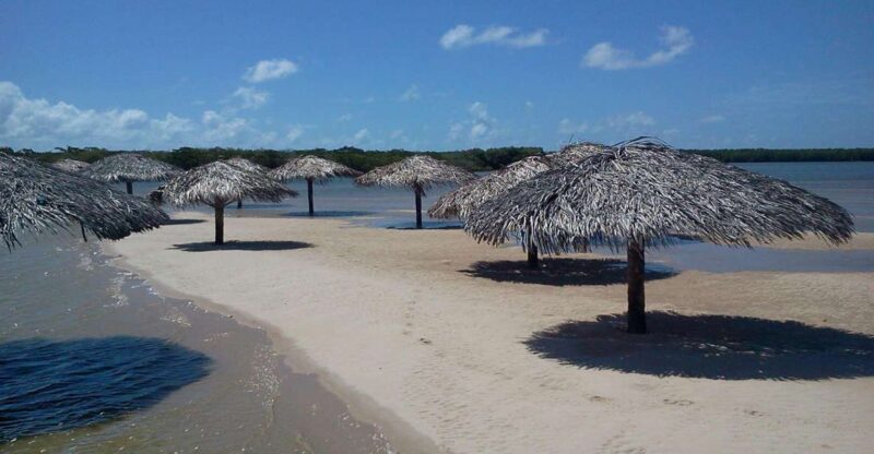 Aracaju: Tour To Croa Goré And Namorados Island - Catamaran Adventure