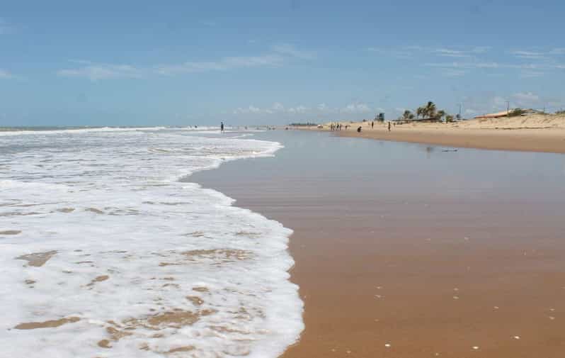 Aracaju: Tour to Saco Beach - Experience Highlights