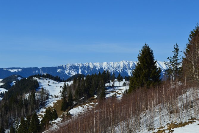Arad to Bucharest - Private Guided Transfer - Car and Driver - Questions About Staying Here