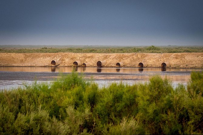 Aral Sea - Lost Paradise - Understanding the Aral Seas Ecosystem