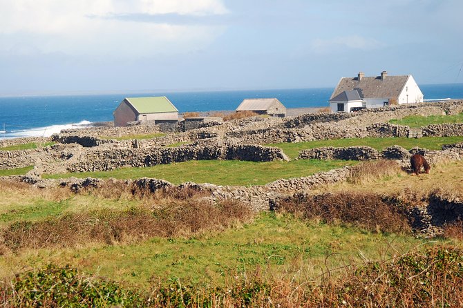 Aran Island, Cliffs of Moher & Cruise Tour From Galway. Guided. - Transportation and Meeting Details