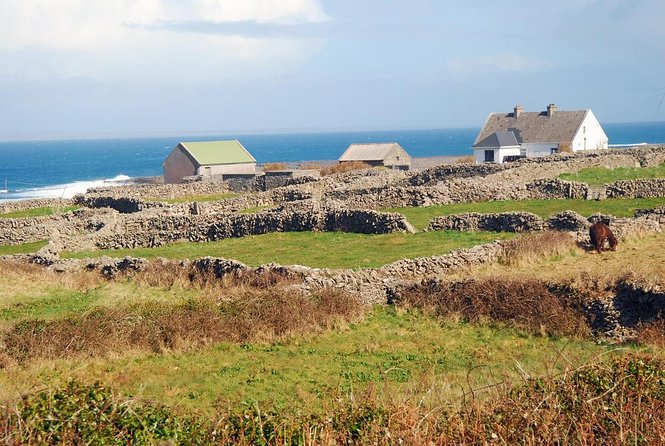 Aran Islands and Cliffs of Moher Cruise From Galway - Getting to the Departure Point