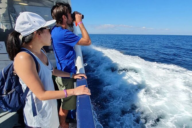 Aran Islands & Cliffs of Moher Cruise Full Day Tour From Galway - Itinerary and Activities