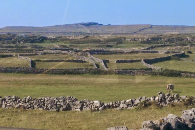 Aran Islands & Cliffs of Moher Cruise Full Day Tour From Galway - Tour Experience