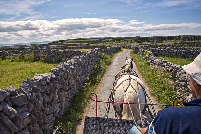 Aran Islands & Cliffs of Moher Including Cruise Day Tour Departing From Limerick - Exploring the Aran Islands