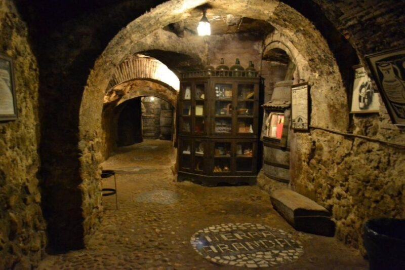 Aranda De Duero: Guided and Dramatized Visit to Medieval City - Recap