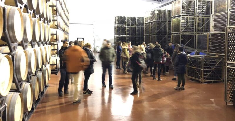 Aranda De Duero: Martín Berdugo Winery - Tour and Tasting - The Guided Tour