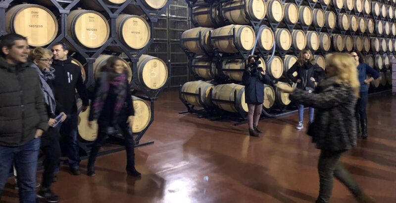 Aranda De Duero: Martín Berdugo Winery - Tour and Tasting - Local Pairings