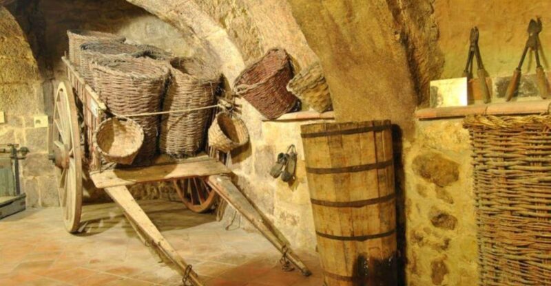 Aranda De Duero: Tour of Underground Cellar and Wine Museum - Exploring the Underground Cellar