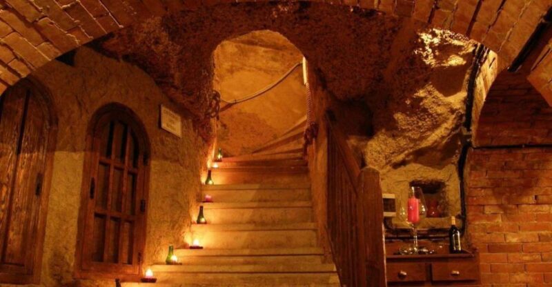 Aranda De Duero: Wine Tasting Course With Iberian Tasting - Guided Tour Highlights