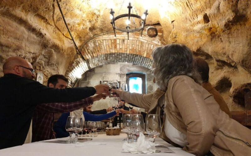 Aranda De Duero: Wine Tasting Course With Iberian Tasting - Tasting Course Description