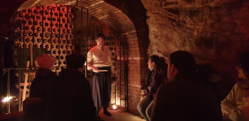 Aranda De Duero: Wine Tasting Course With Iberian Tasting - Educational Component Focus
